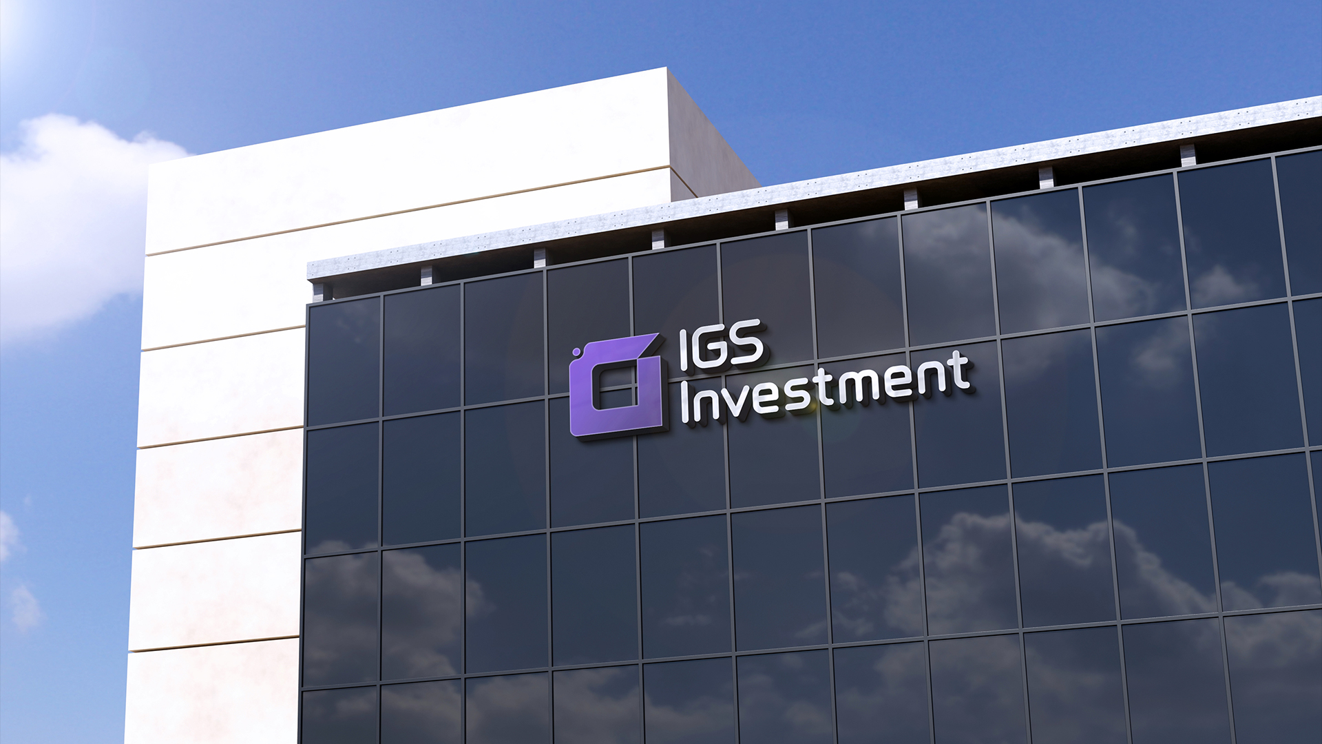 IGS Investment