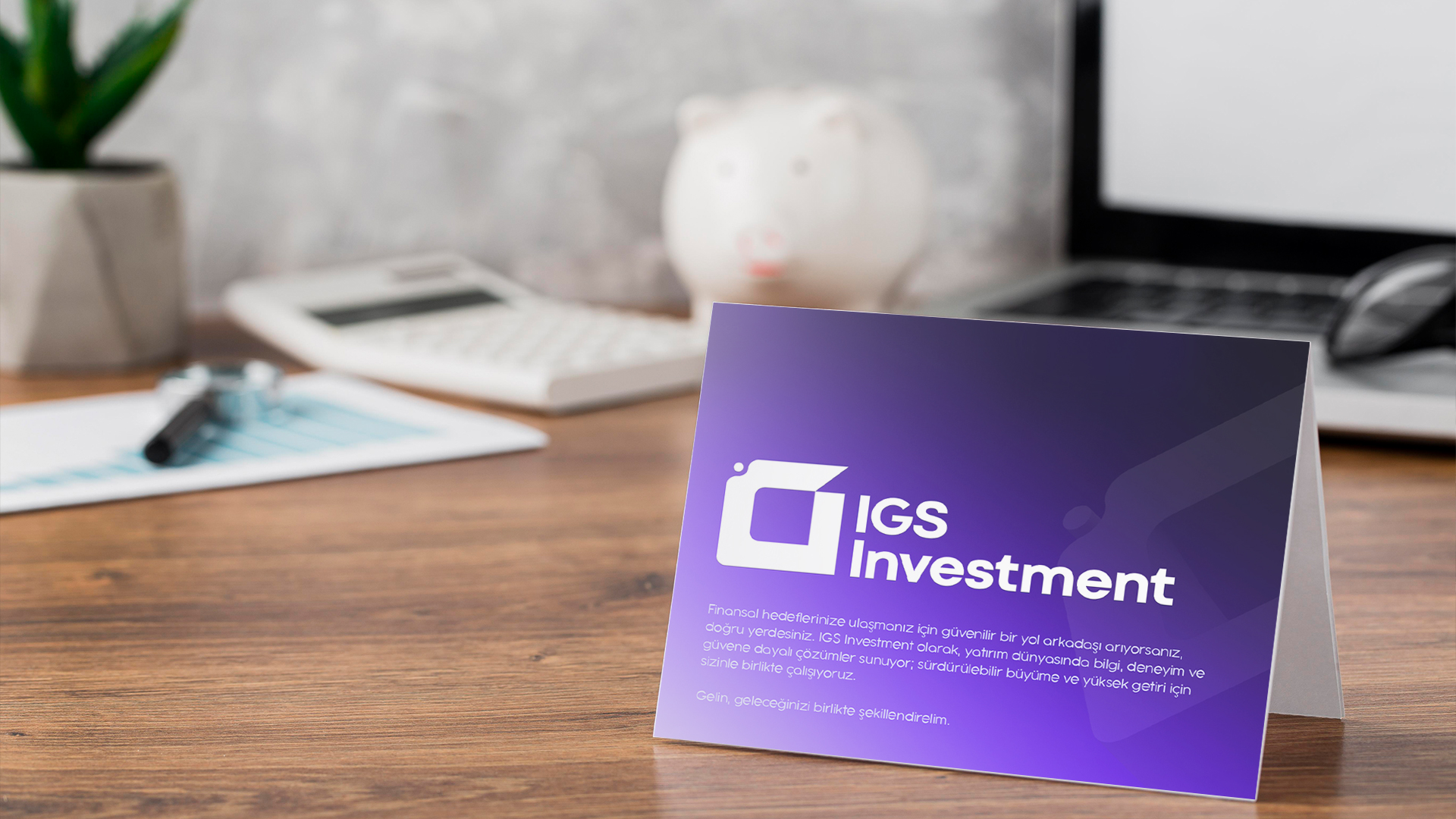 IGS Investment